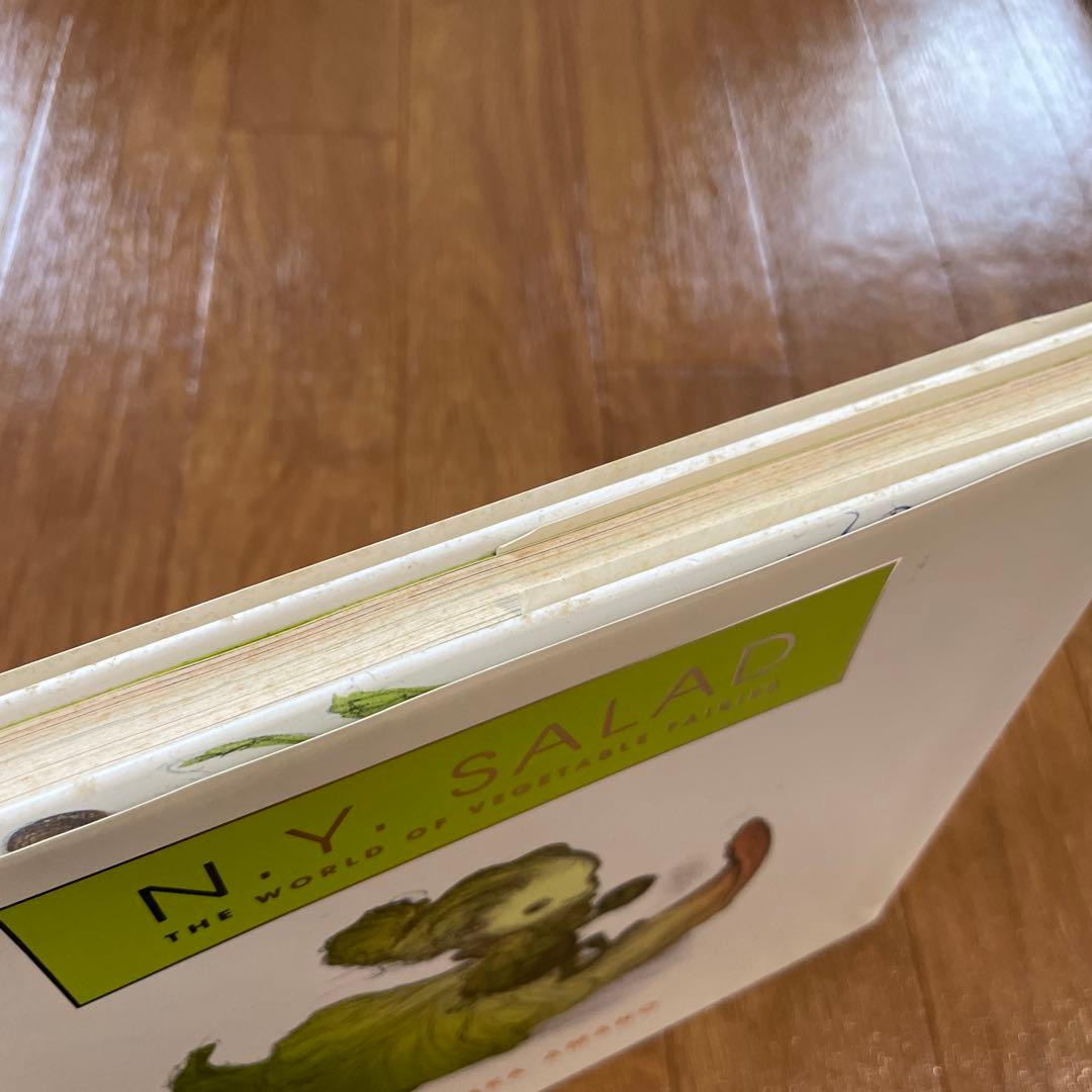 【直筆サイン入り】「N.Y. SALAD」天野喜孝