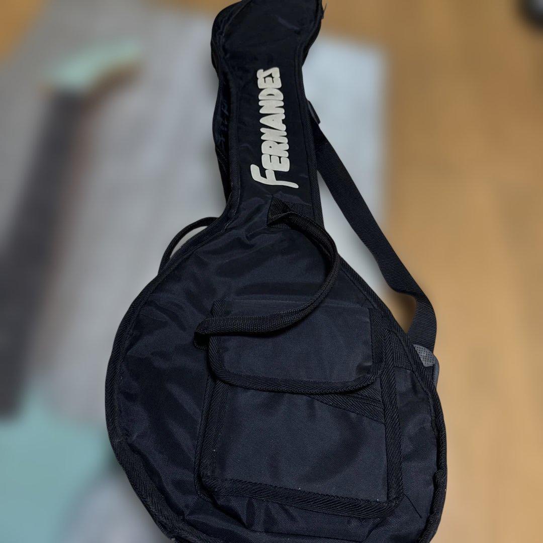 FERNANDES フェルナンデス ZO-3 アンプ内蔵エレキギター　ゾウさん