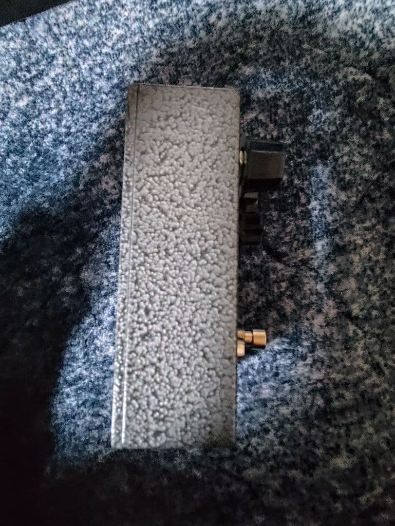 テ*リ様 EarthQuaker Devices White Light アース