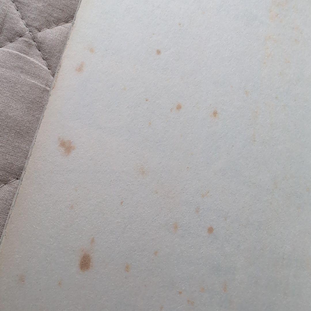 湾岸MIDNIGHT 全42巻 楠みちはる