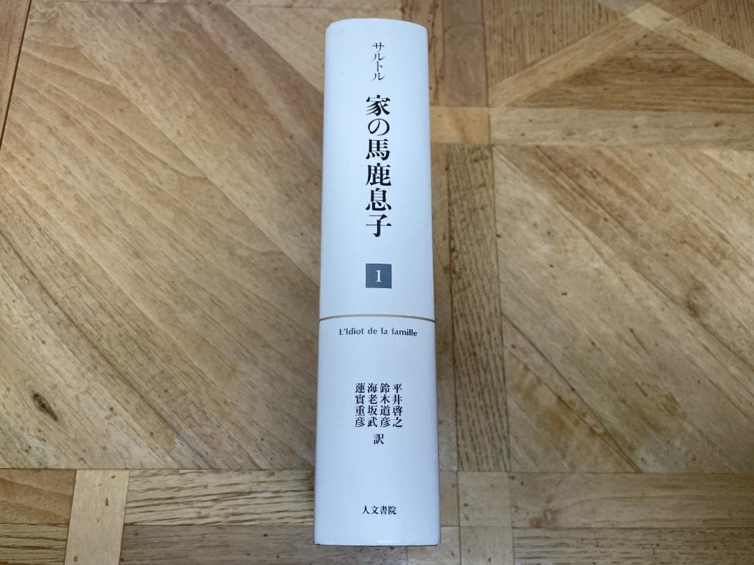 【新品未読品】家の馬鹿息子 1 / サルトル