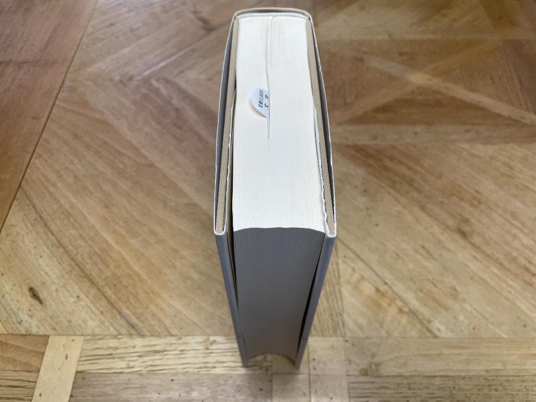 【新品未読品】家の馬鹿息子 1 / サルトル