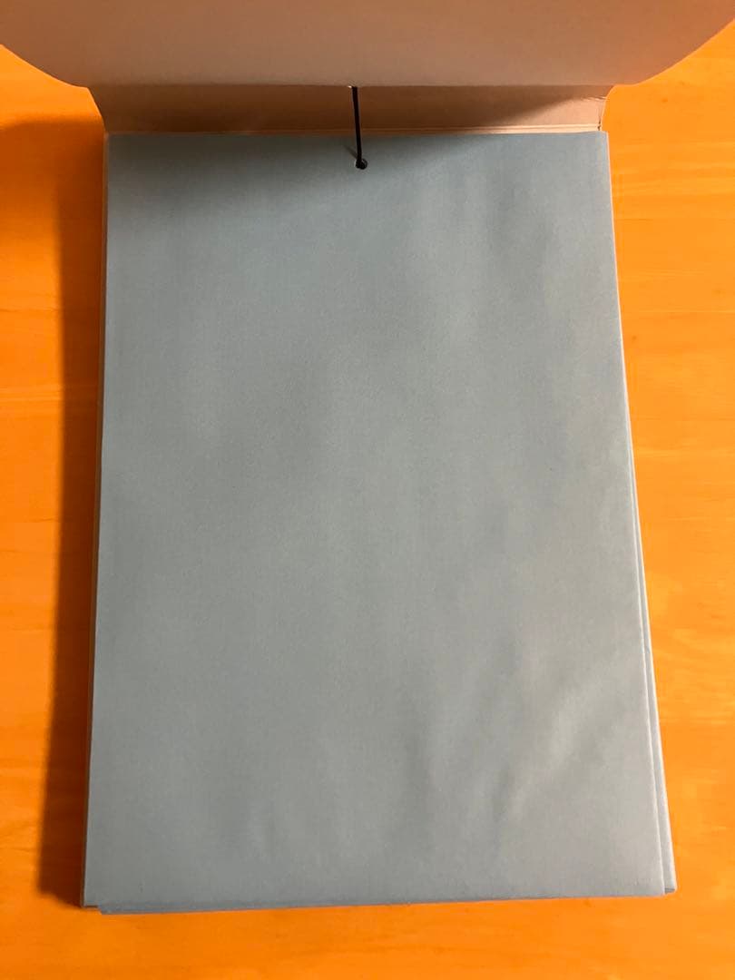 ToHeart ハートフルパーティ クリアファイル ひっぱりくじ 20枚 まとめ