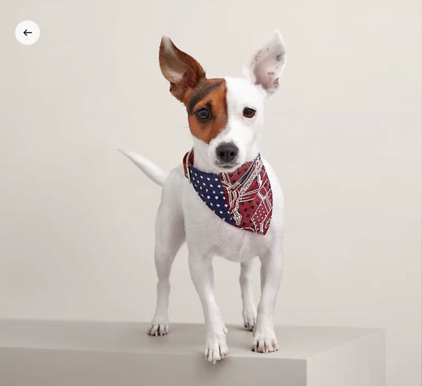 【未使用】HERMES　犬用　バンダナ　エプロンドール　Sサイズ