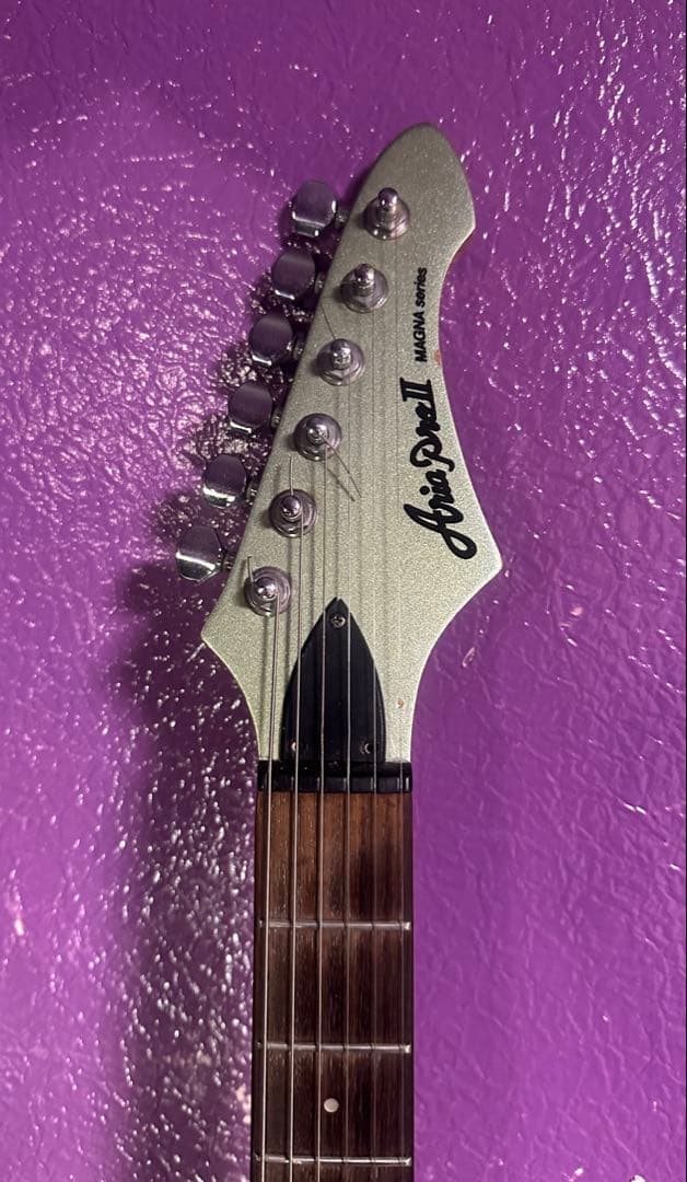 Aria proⅡ magna series