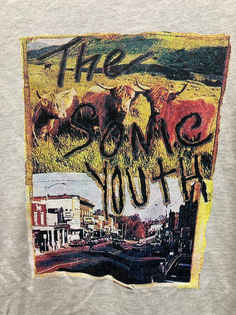 レア Sonic Youth グレー Tシャツ 90s フルーツタグ USA