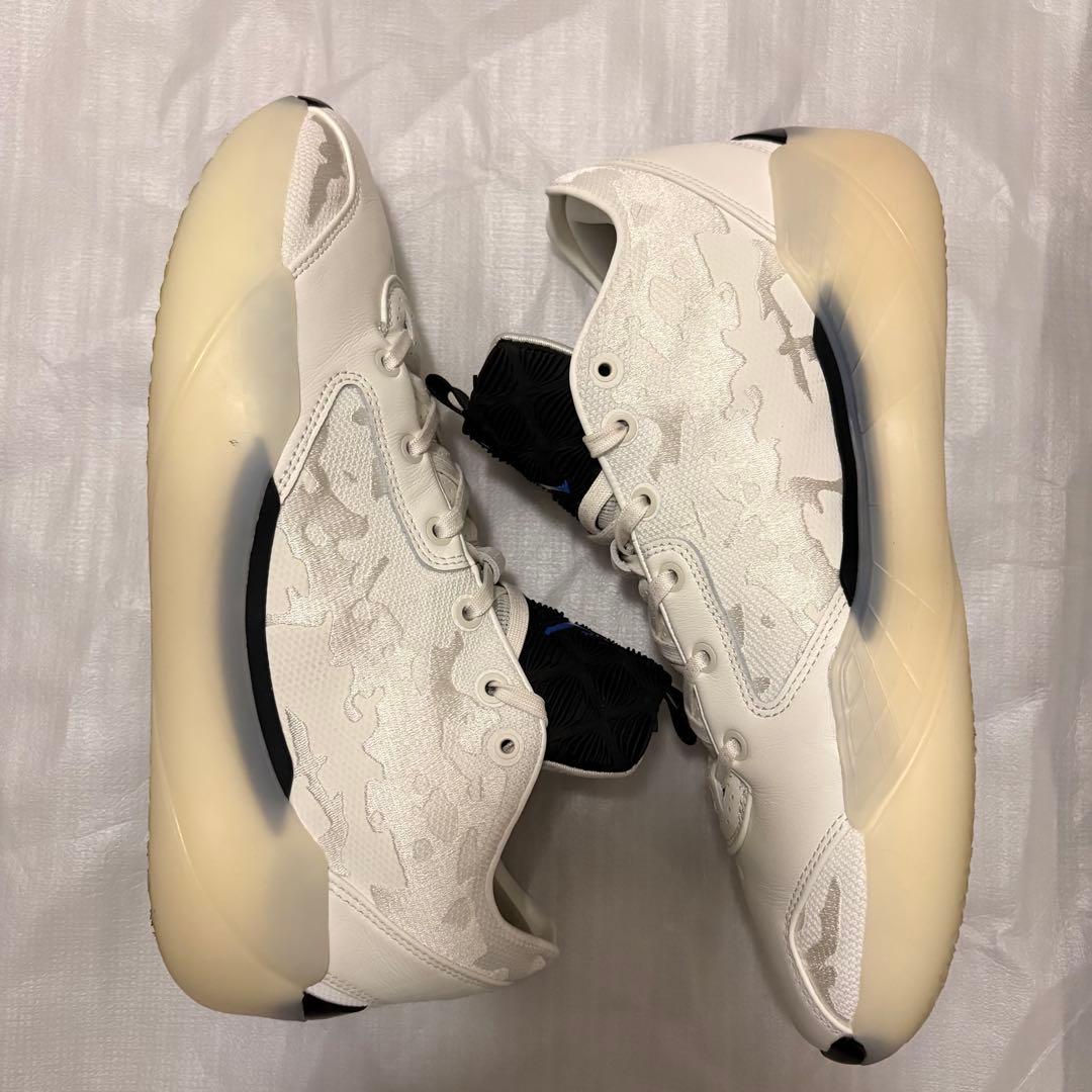 シューズ(男性用) Nike Air Jordan 39 29cm