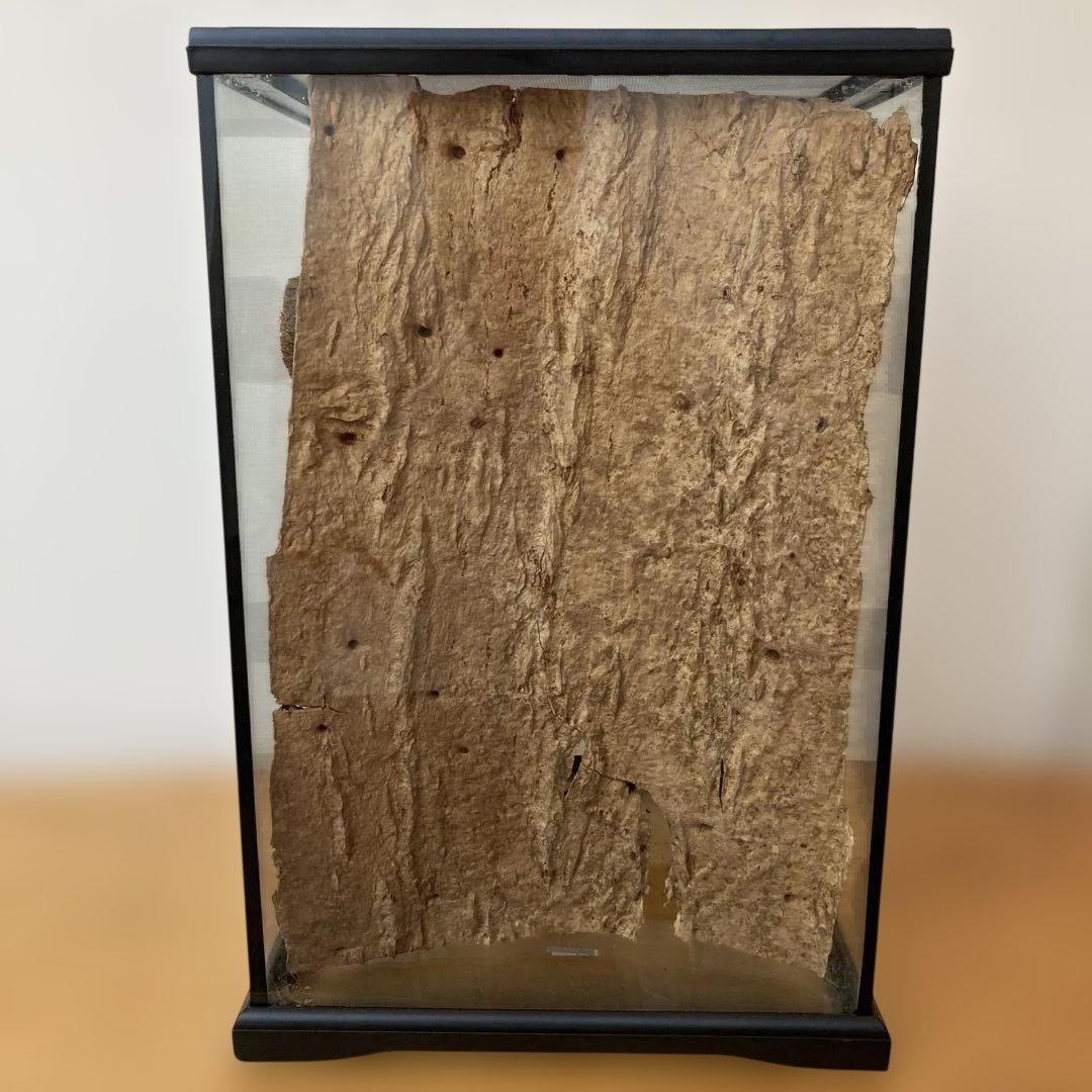 エキゾテラ　GEX　グラテラ3045 中古