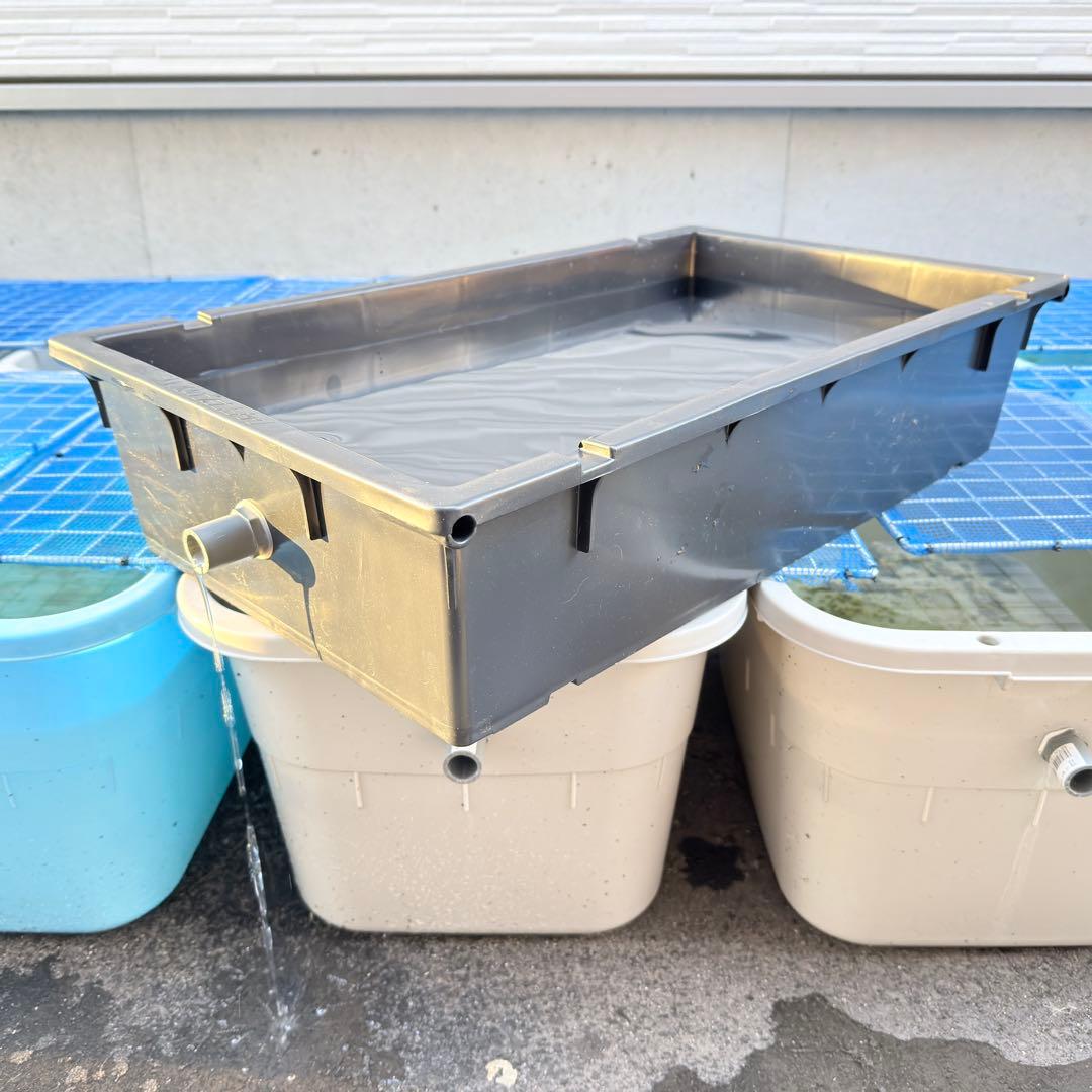 メダカ容器 くろ舟 23L オーバーフロー 5個 Wパッキン 雨対策 高耐久