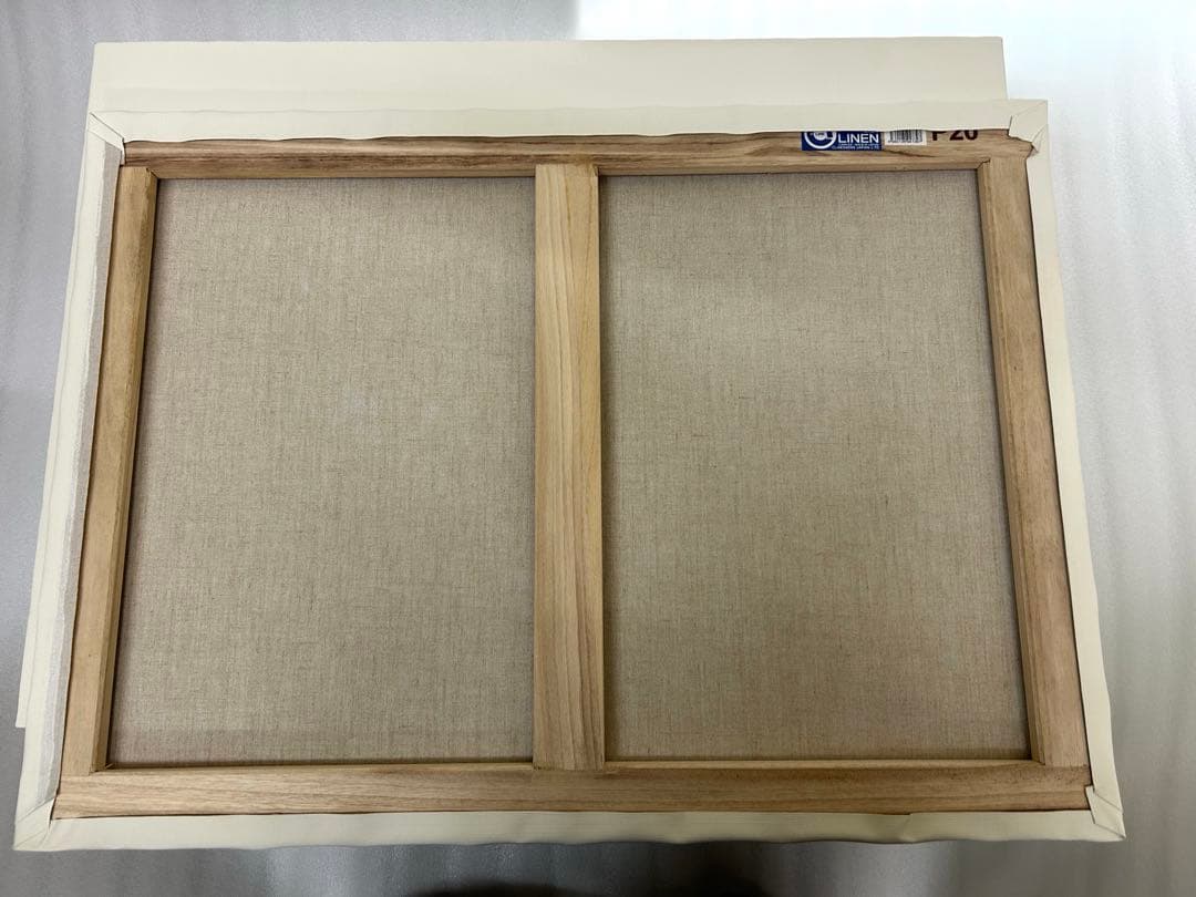 [未使用]クレサンジャパン　P20キャンバス　Aライン　リネン　9枚セット