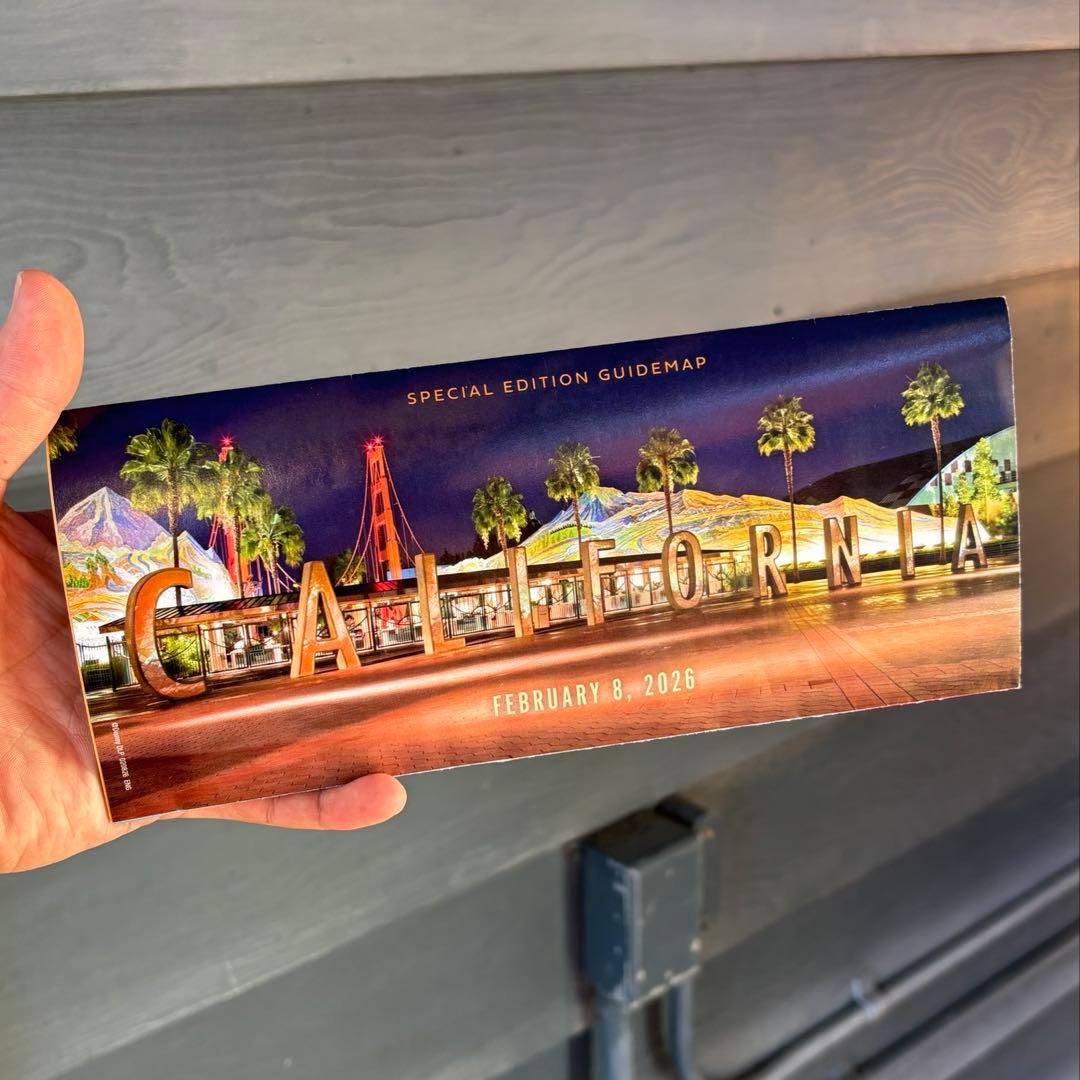 カリフォルニアディズニー 観覧車 ポップコーンバケット 25周年リーフレット付き