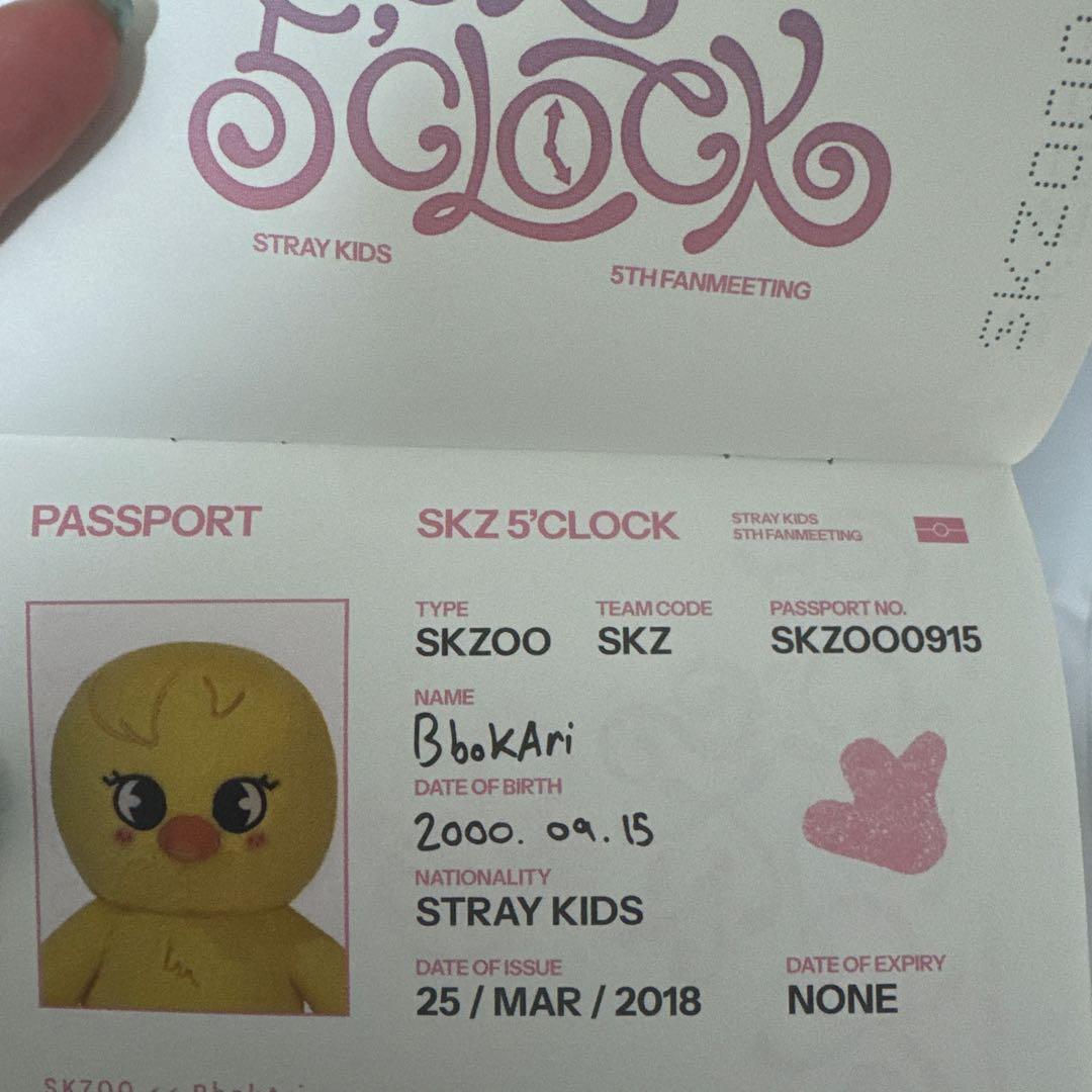 【最安値】straykids テディ　Felix