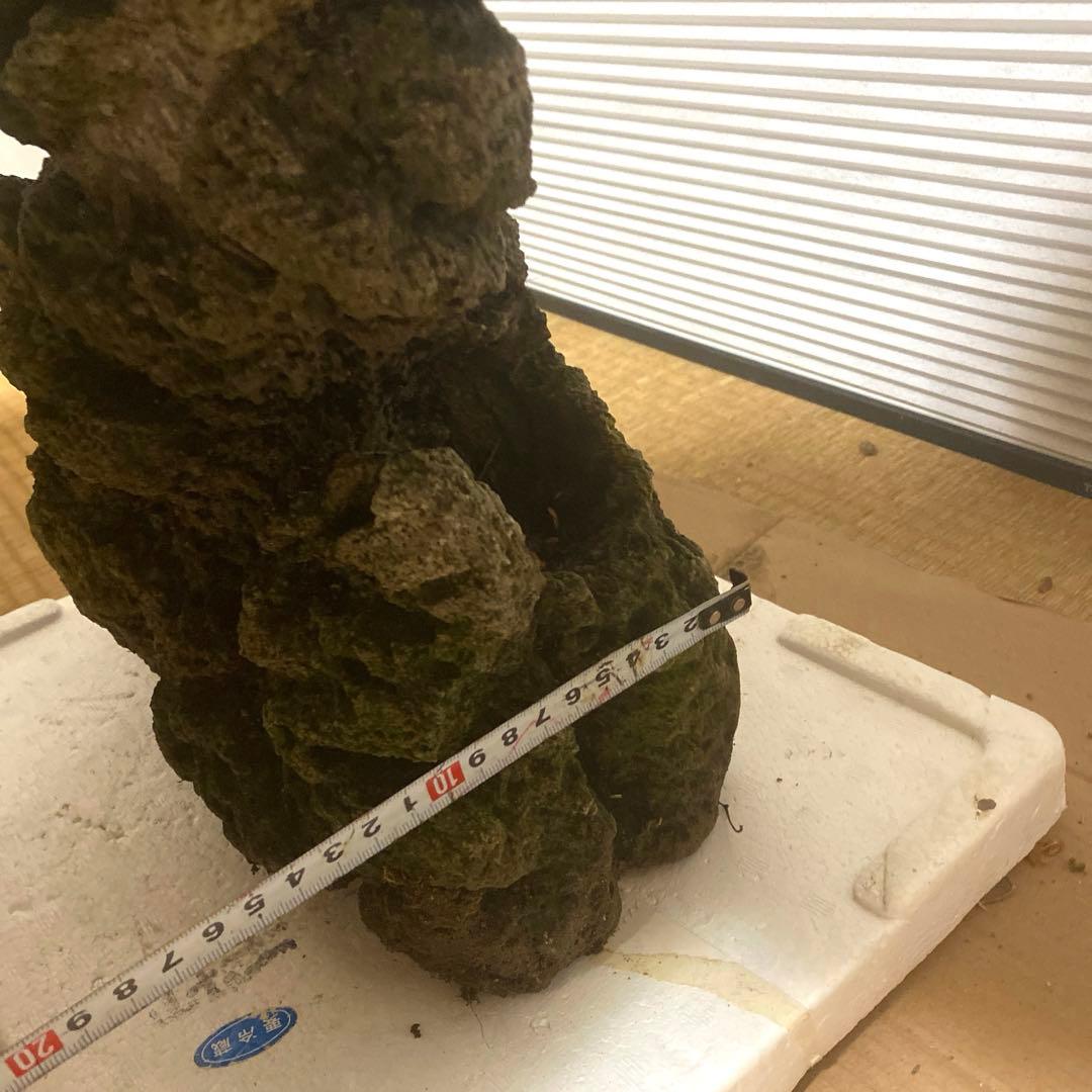 【美形】軽石　岩石　水槽　装飾 アクアリウム　NO3