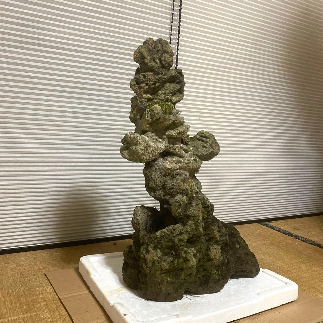 【美形】軽石　岩石　水槽　装飾 アクアリウム　NO3