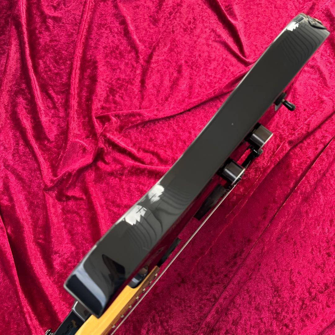 美品 メンテ済 Progauge by SCHECTER PS-600AV