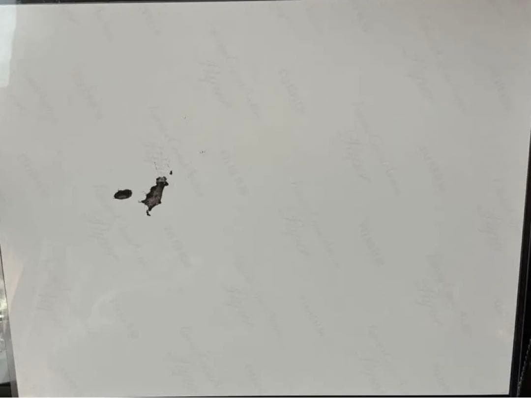 のあ　ジェレミー・レナーSWAU 直筆サイン