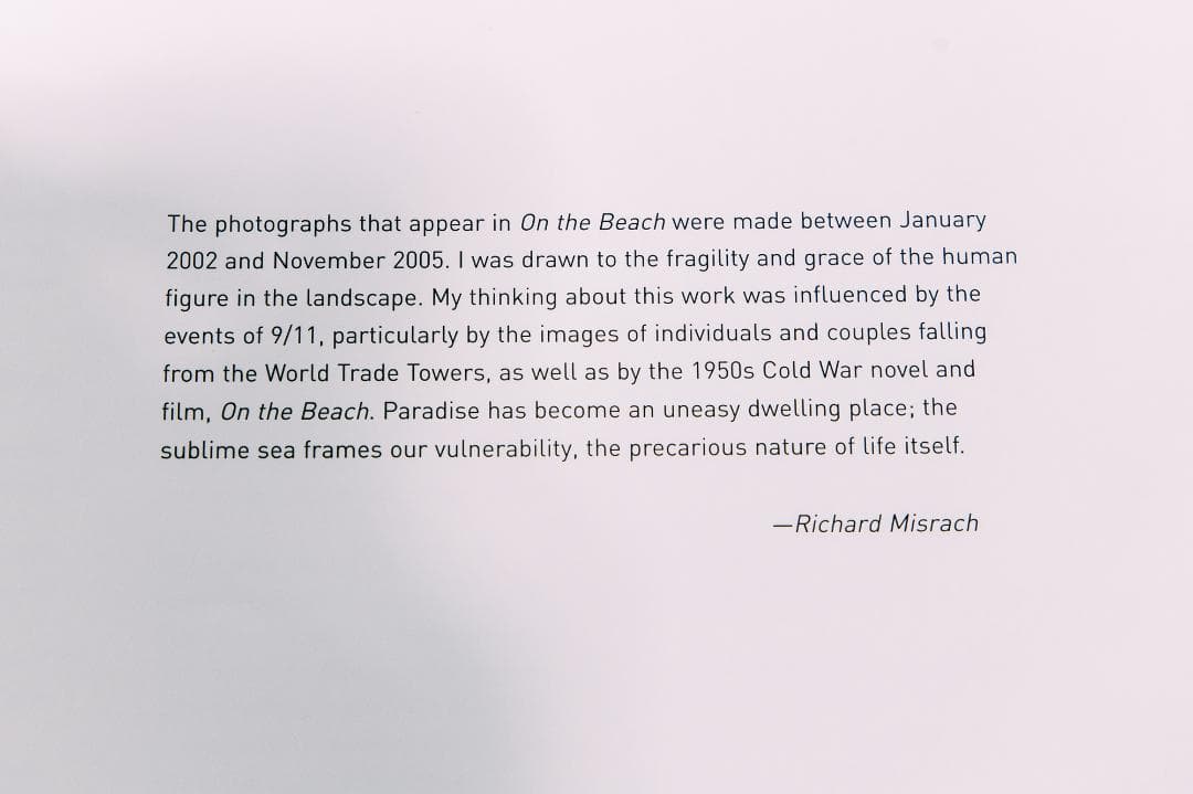 アート・デザイン・音楽 Richard Misrach on the beach