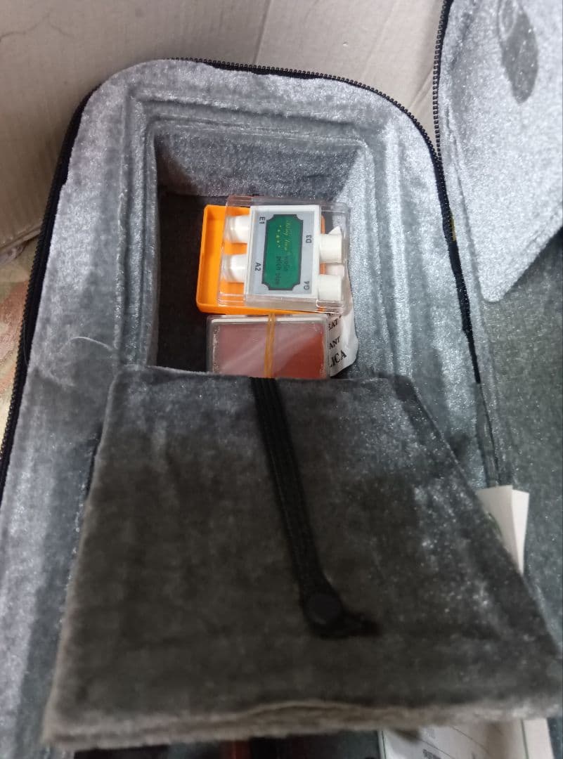 wakoハルシュタット　 バイオリン