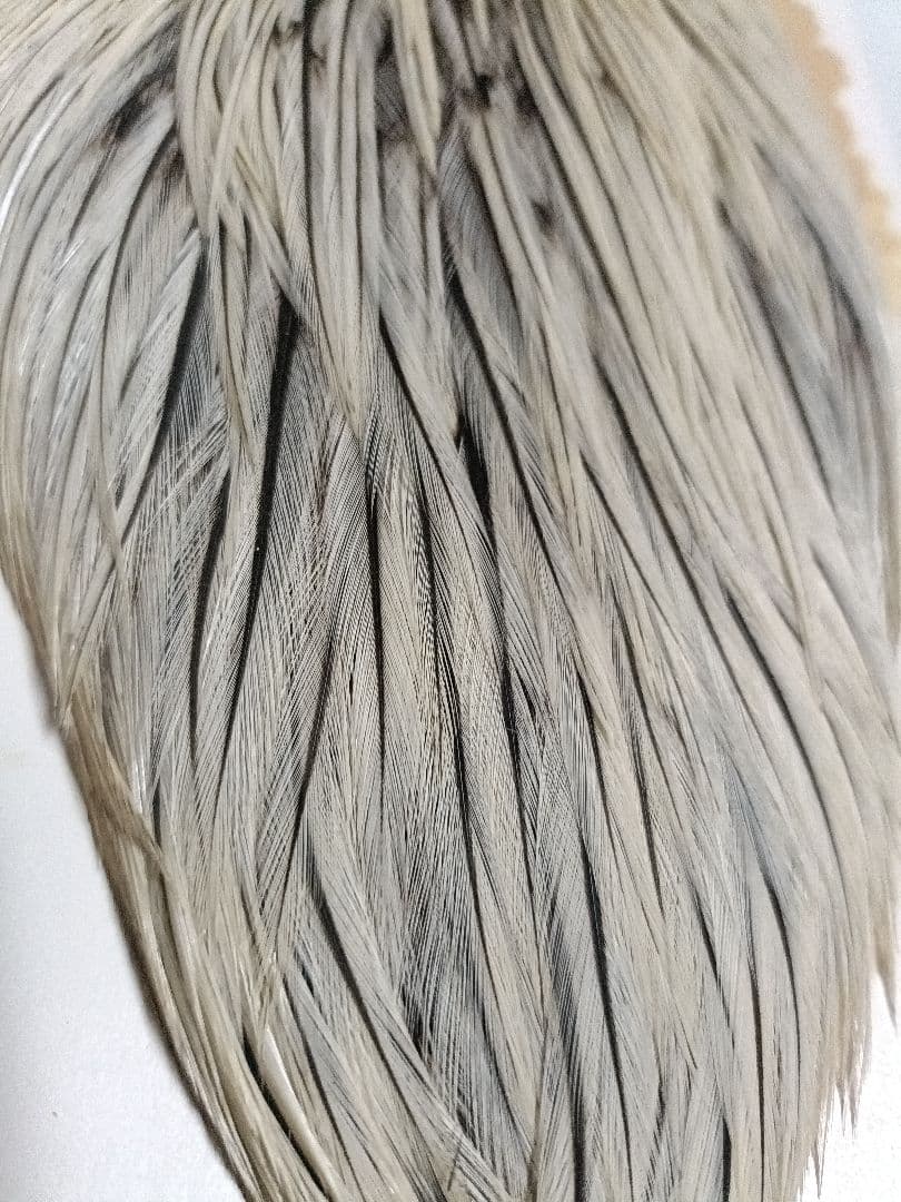 Hoffman ドライフライハックル グレード3