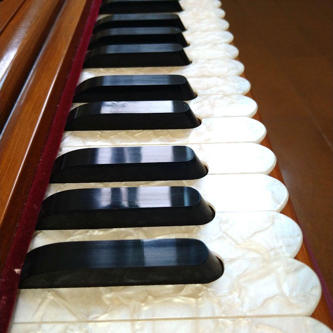 ハルモニウム30鍵盤【RAGA】最終値下げ