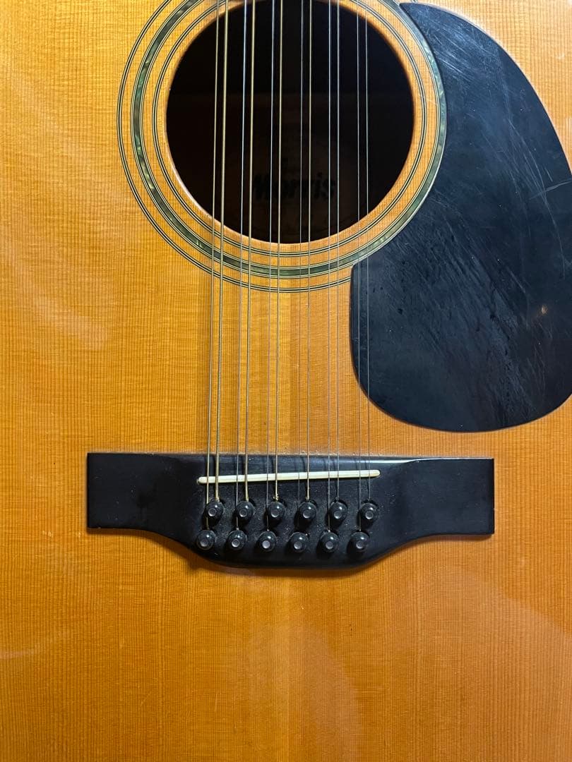 morris 12弦ギター　B-40