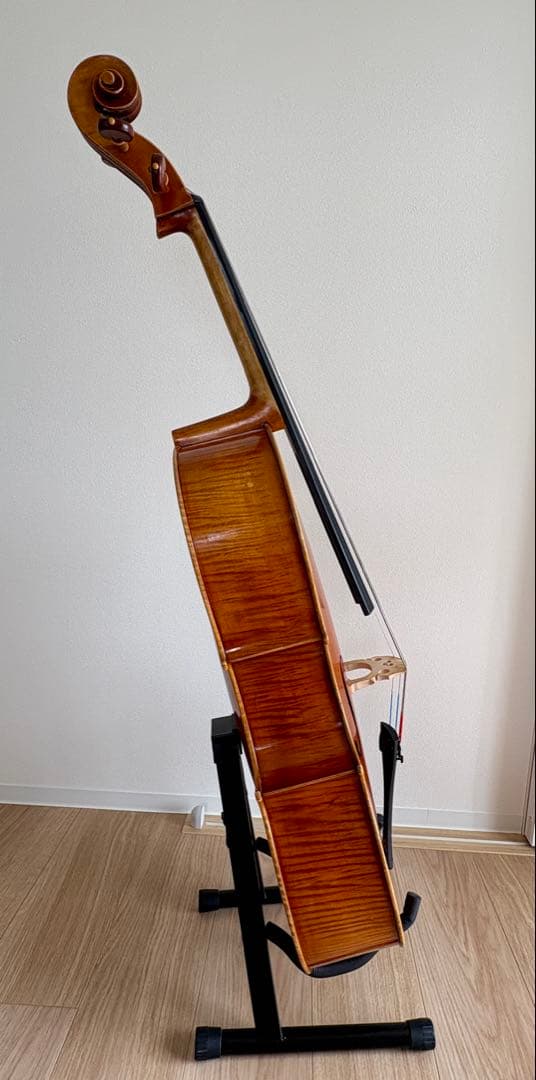 チェロ1/2 Pygmalius STANDARD/ピグマリウス スタンダード