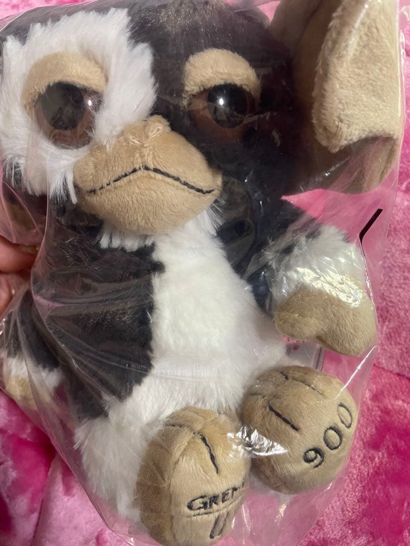 限定nici × URBAN RESEARCH ギズモ★グレムリン