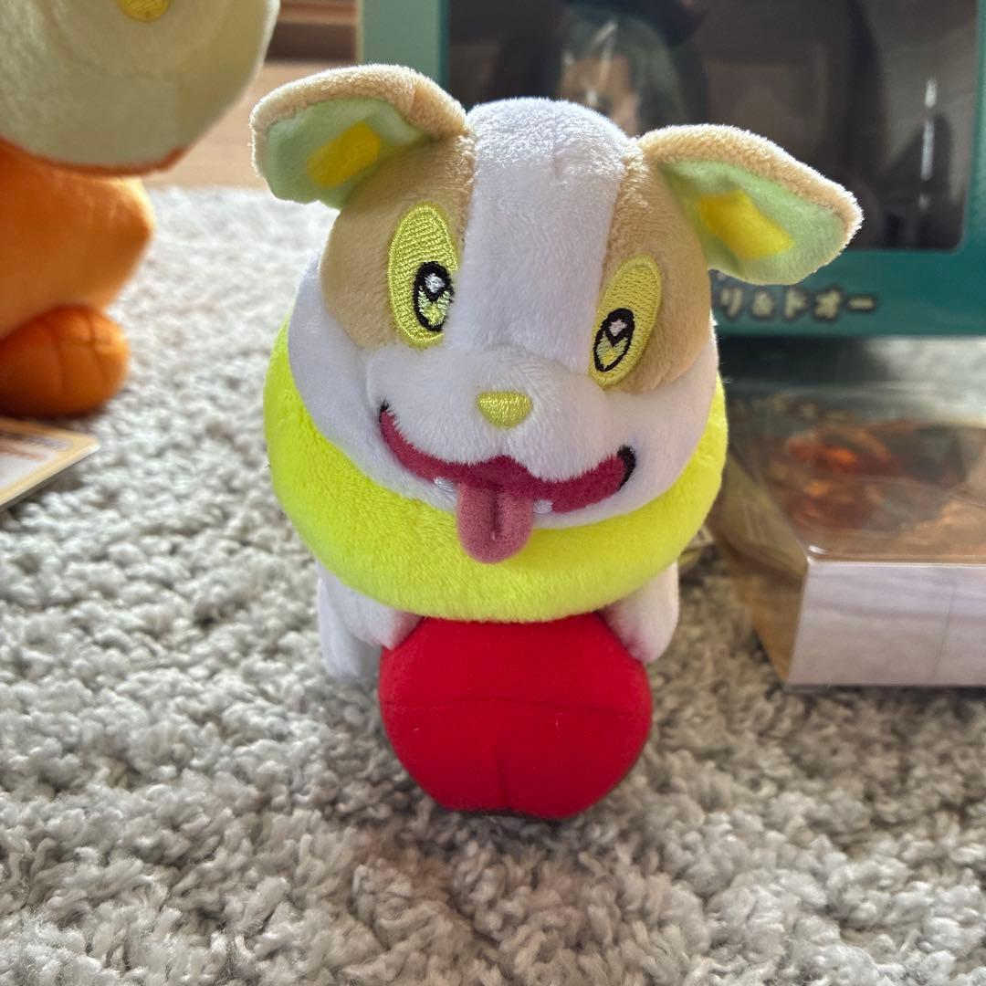 ピカピカボックス2026コイキングオス　1点のみ抜き取りあり