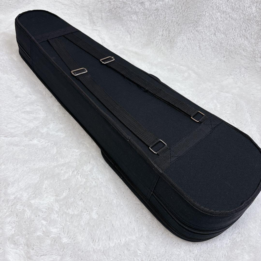 バイオリン 4/4 大人の初心者向け(ノーブランド)