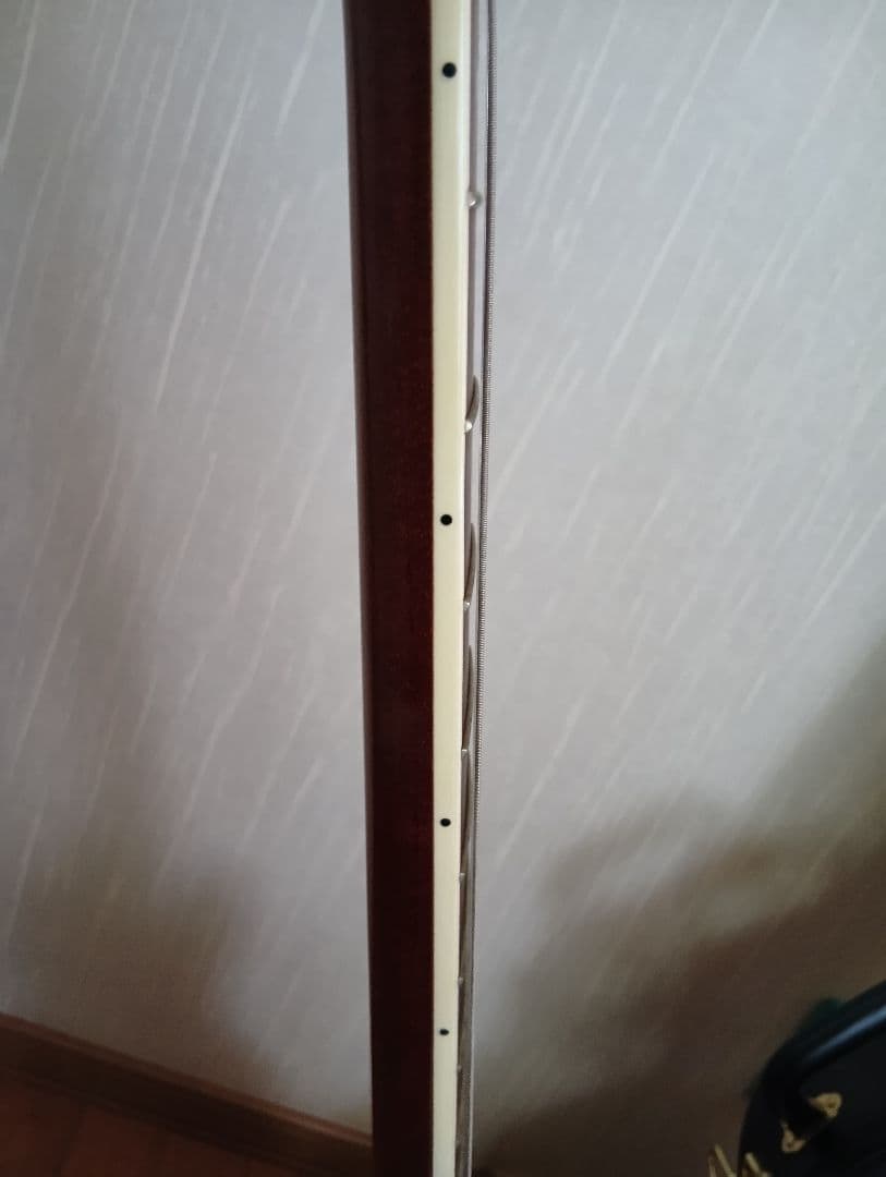 ゼマイティスA24SU NATURAL PEARL 純正ハードケース付き