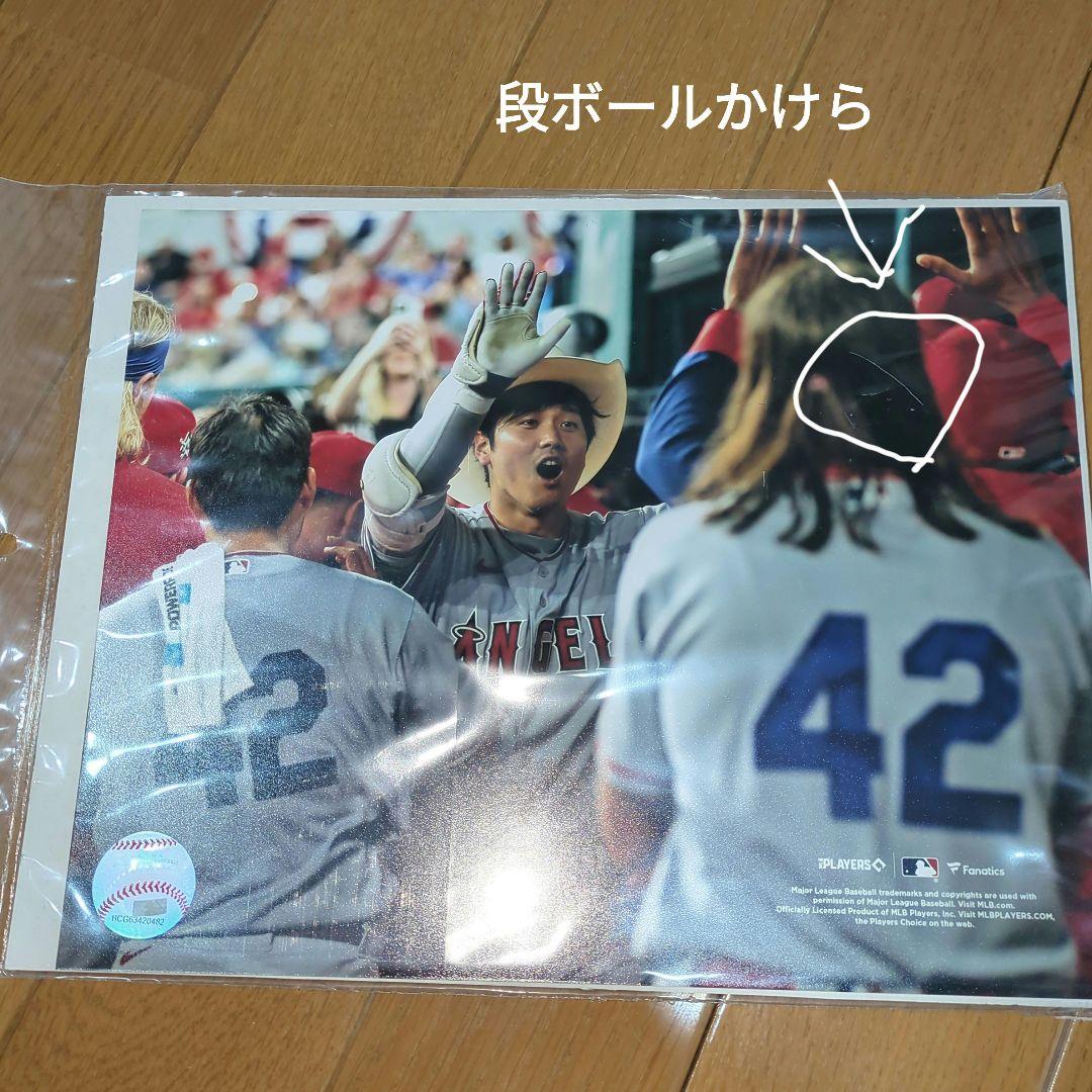 【新品、未開封】《 米国fanatics社 》『大谷 翔平選手』フォト