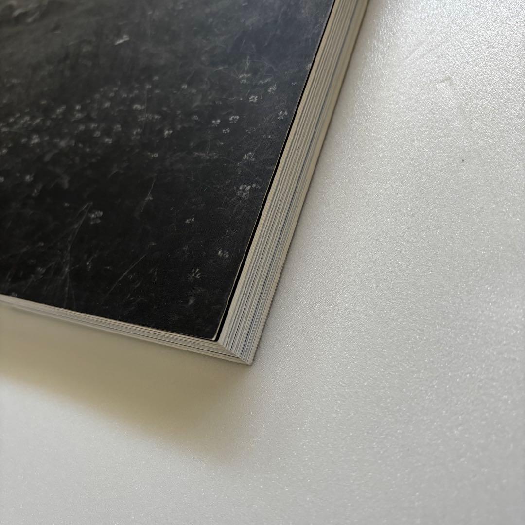 a+u 1998年2月号臨時増刊　ピーター・ズントー