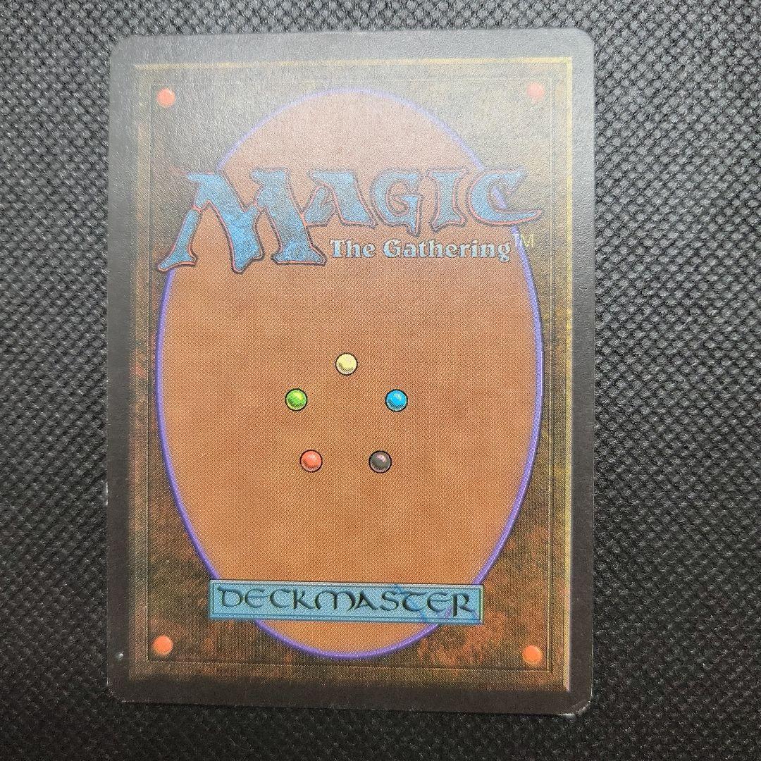 MTG 黒枠 英語版 初版 サインド シヴ山のドラゴン leb β