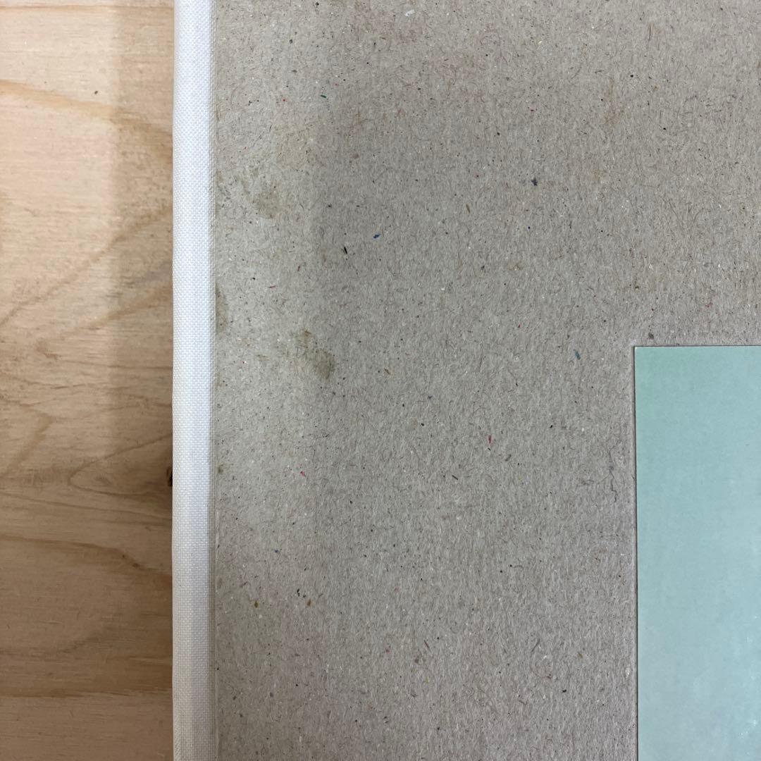 Mark Borthwick 写真集　not in fashion