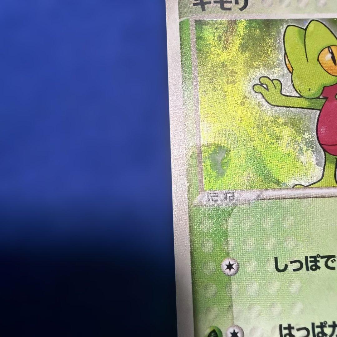 キモリ003/019、アチャモ002/019計 2枚