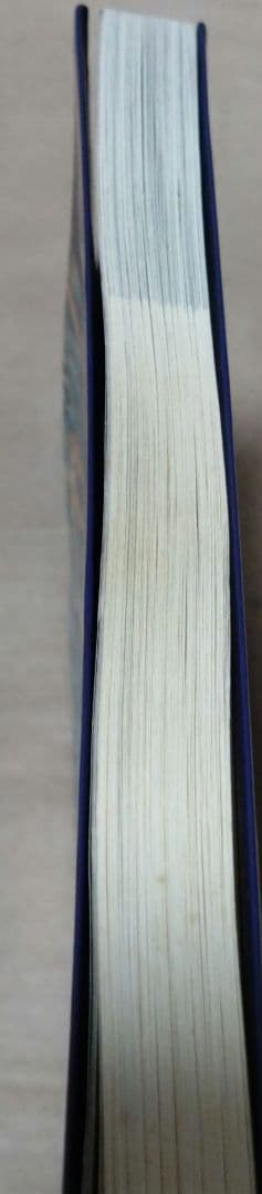 最終値下げ♪刺青道場 彫師への入門教科書 (上下巻)2　二代目梵天