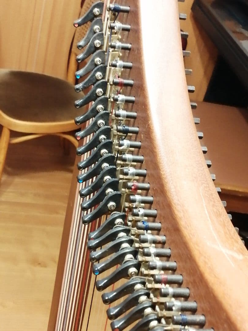 ダスティストリングス アレグロ　ハープ 本体