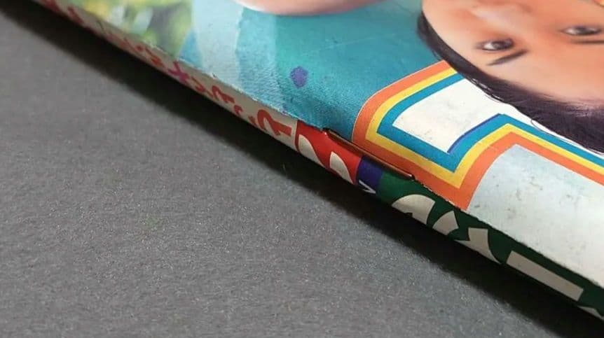 ヤングアニマル1999年2号ベルセルク第134話/浅倉めぐみ表紙&水着グラビア