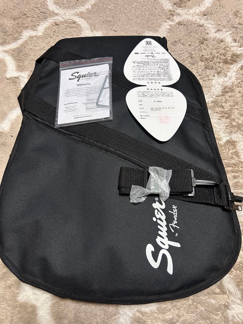 スクワイアムスタングHH