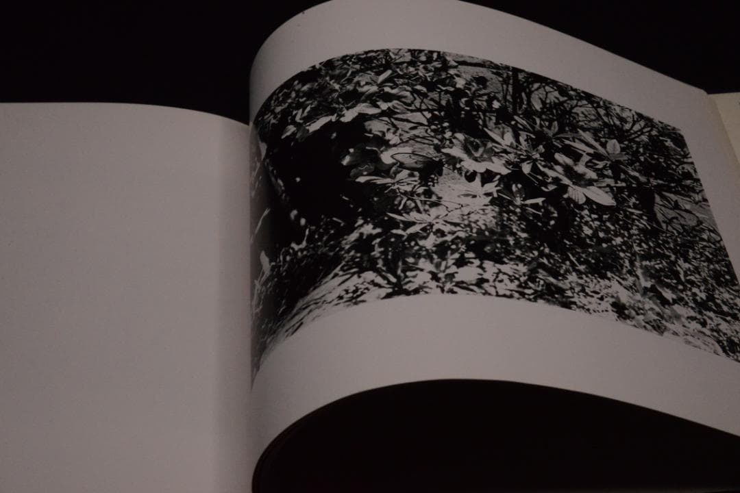 【仲治への旅】森山大道　著者サイン入　★★大幅に値下げしました