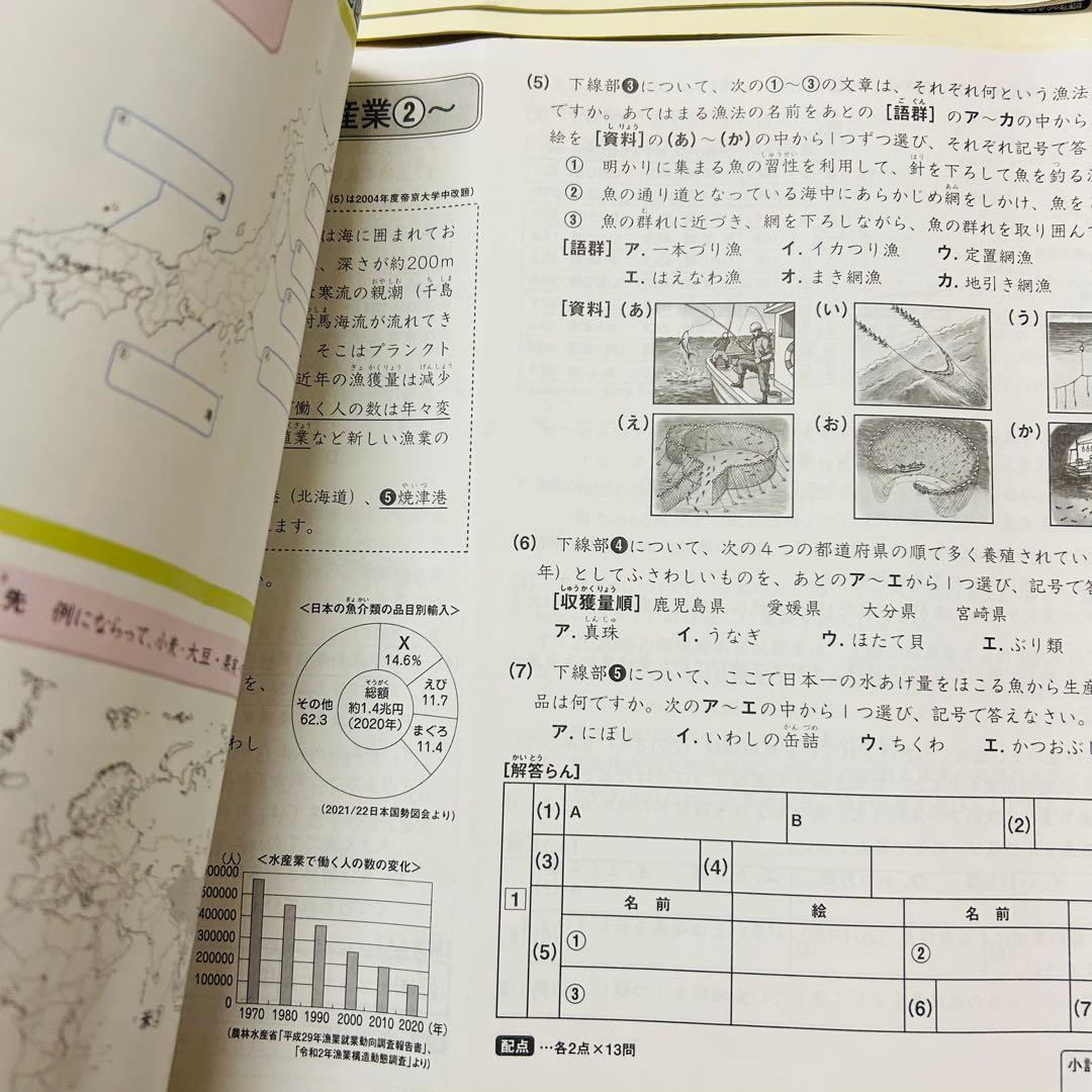 ㉒AA 希少　SAPIX サピックス　5年　社会　季節講習込み　フルセット