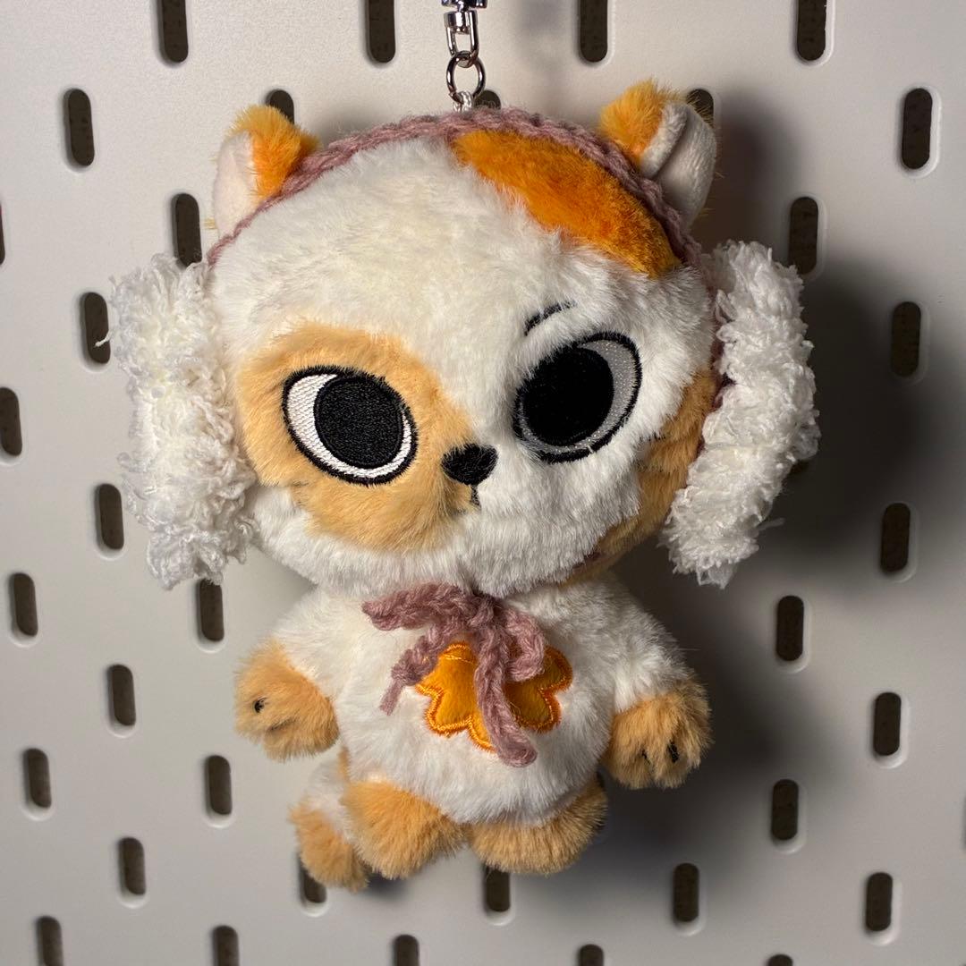 プネクド 服 オーダー 専用ページ