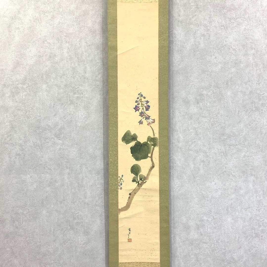 掛軸 猪飼嘯谷 桐花 共箱 花 3-29