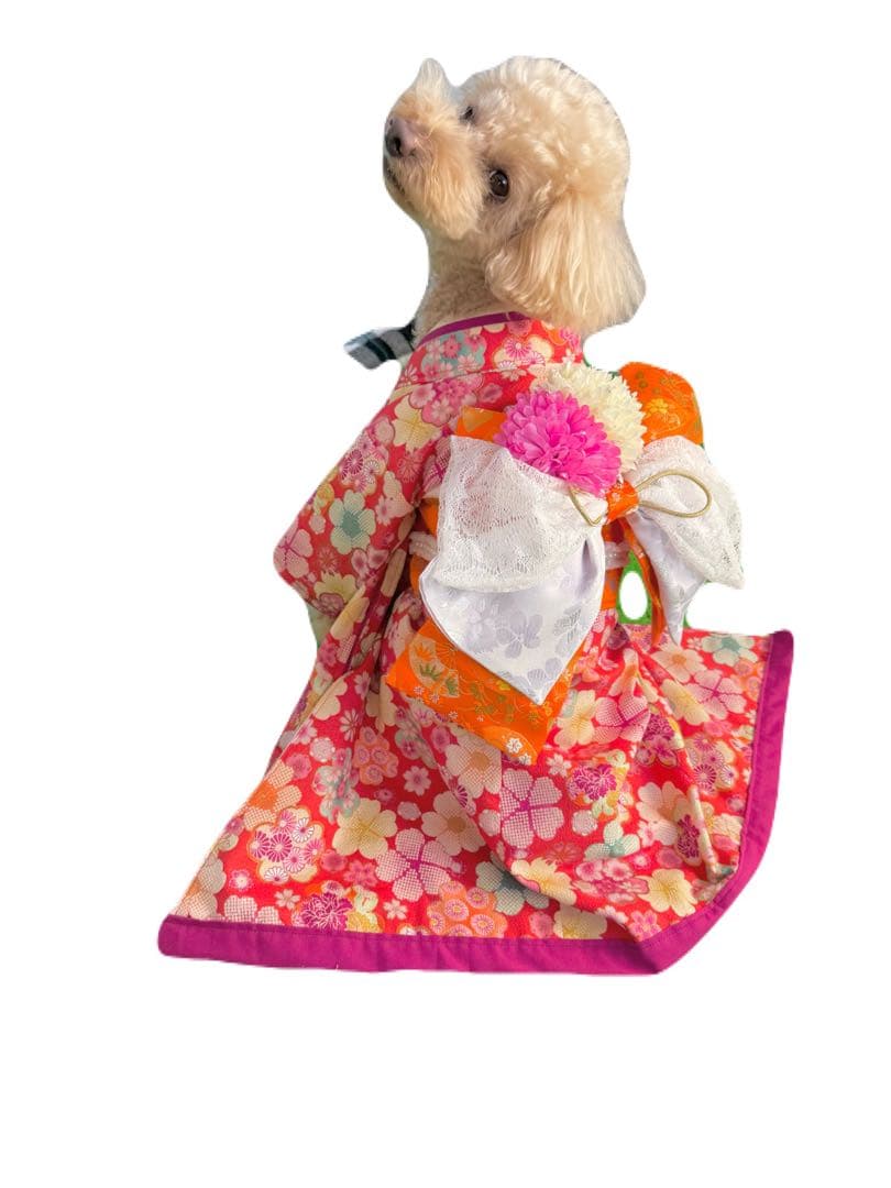 わんちゃん女の子　引きずり大振袖　Mサイズ