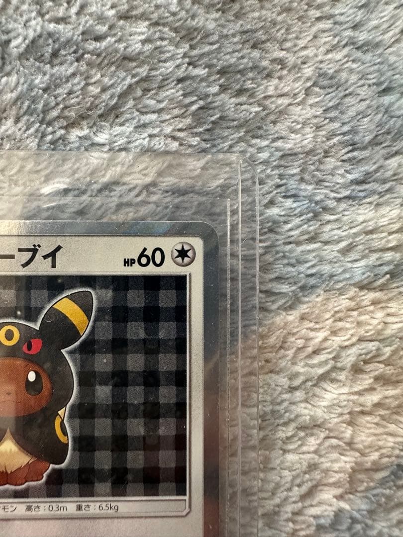 ポンチョを着たイーブイ（ブラッキー） PROMO SM-Pプロモカード