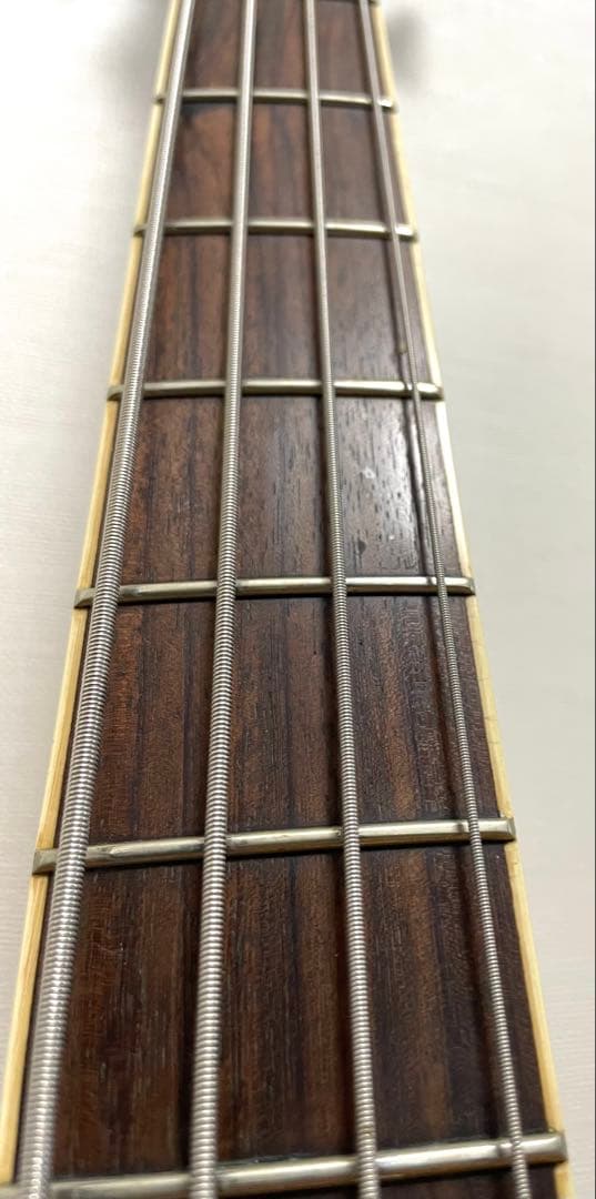 REITA the GazettE Edwards エレキベース