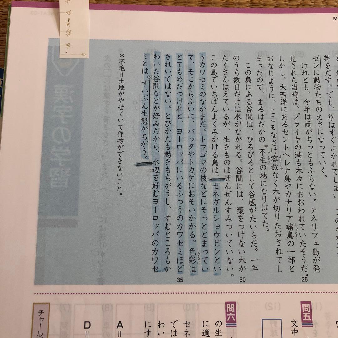 Z会 エブリスタディ 6年 2023年 4月号〜2024年2月号 4教科