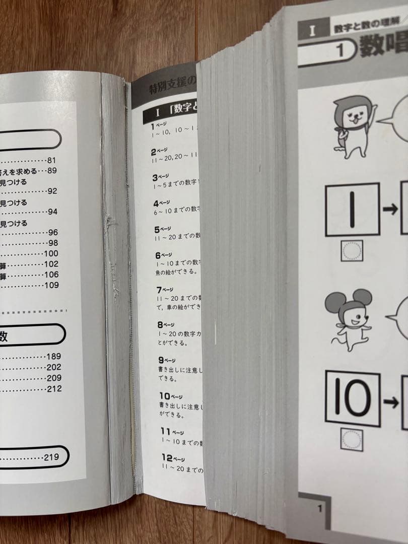 特別支援の算数教材　改訂版　国語教材　初級編 学研　Gakken 2冊セット