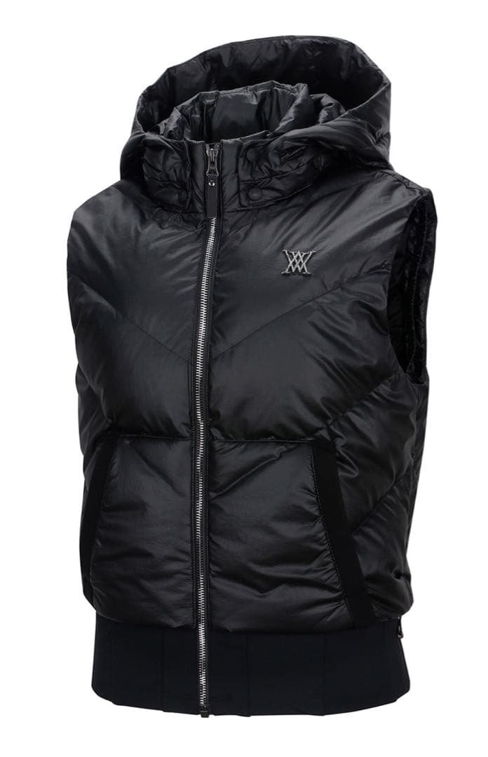 ☆ANEW GOLF☆ アニュー　HOODY DOWN VT