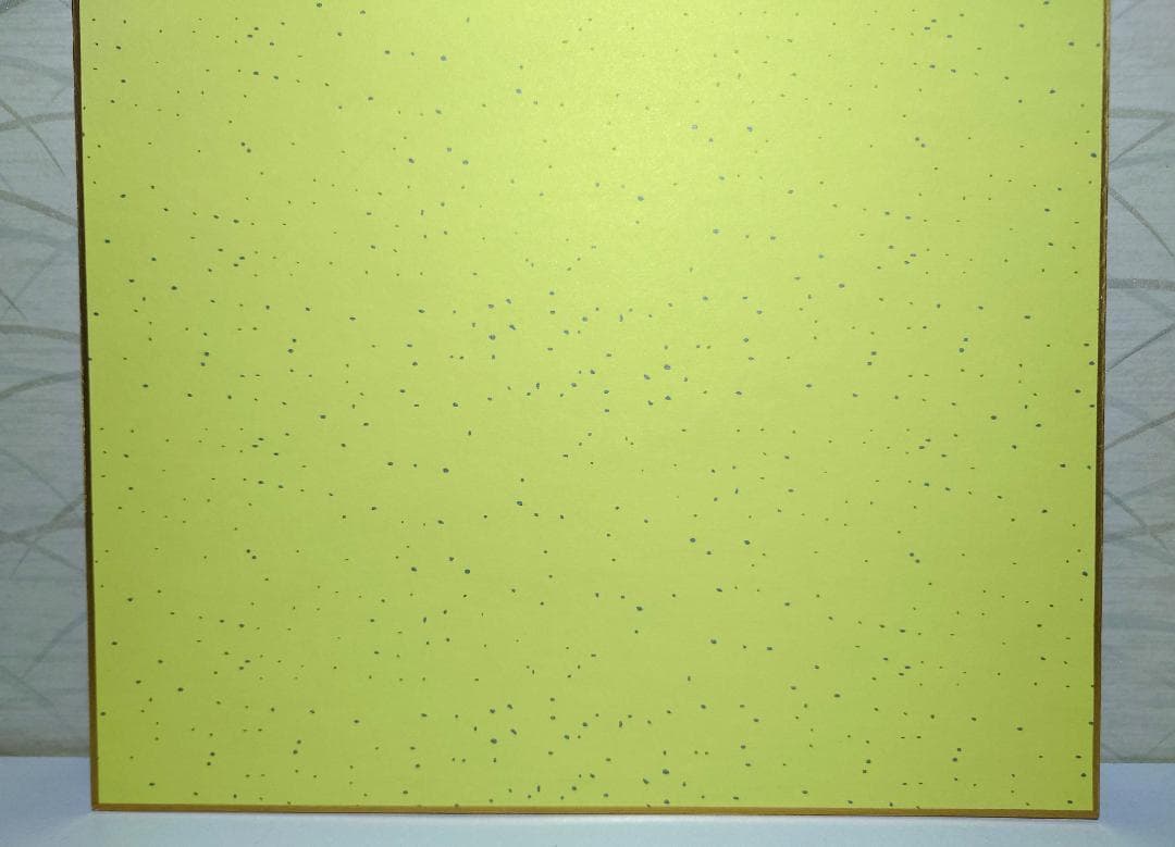 美品　色紙直筆サイン入り　ZARD　坂井泉水　額付き　写真3枚セット